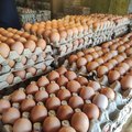 Chicken eggs on carton iStock image