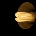 Light bulb electricity_wikimedia