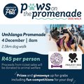 Paws on the promenade