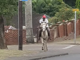 A man rides his horse in Newlands Durban
