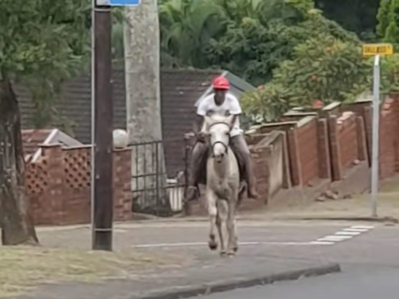 A man rides his horse in Newlands Durban