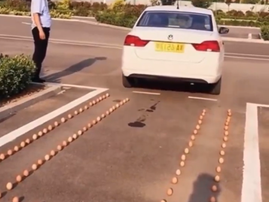 A vehicle reversing into a parking space with egg guidelines
