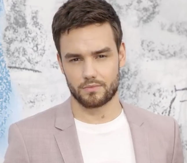 Liam Payne crop