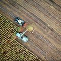 Farming